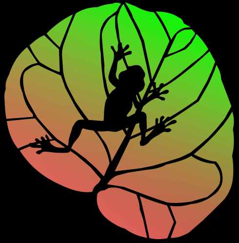 coqui b with background