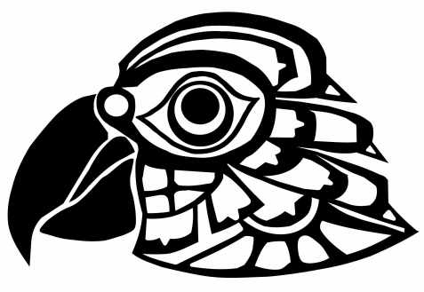 Pacific Nortwest-style African Grey Parrot